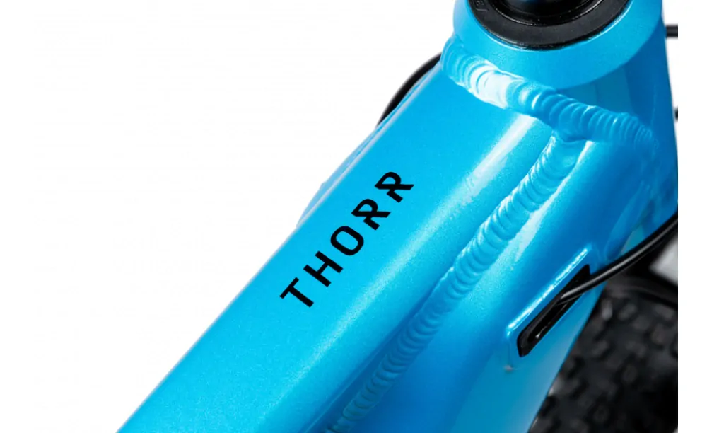 Pells Thorr 3 29" modrý