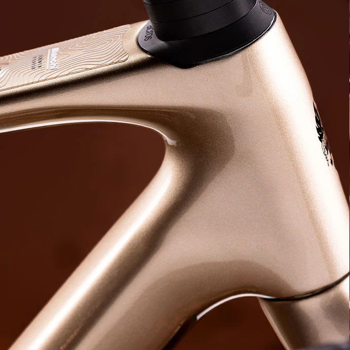 BIANCHI ARCADEX COMP GRX 610/822 1X12SP Zlatý