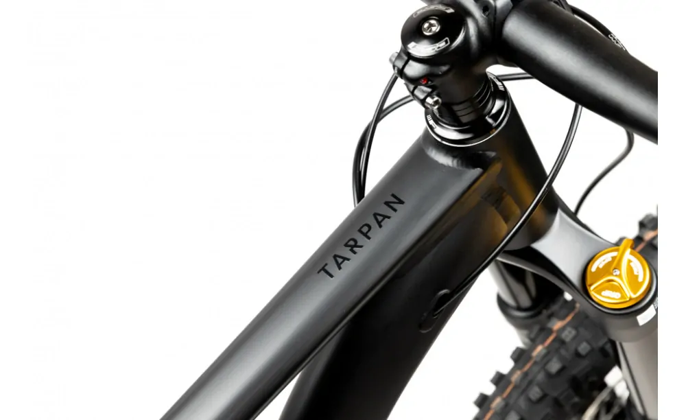 Pells Tarpan Am 2 29" Black