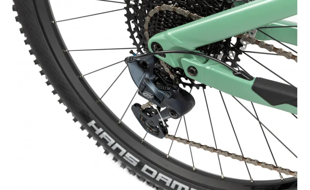 PELLS Tarpan AM 1 Moss Green