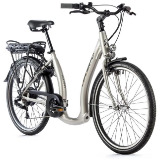 Leader Fox HOLAND 26" strieborný